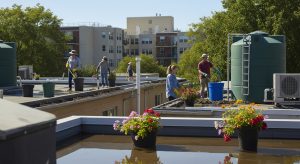 Key Lessons from the Causes of Viral Fever in India